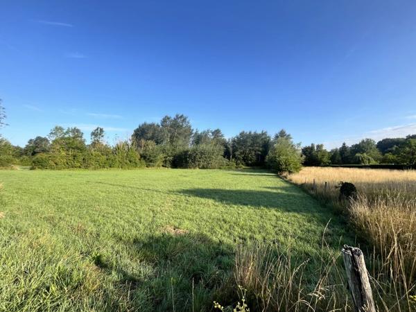 Vente                                                      Terrain
                        
                                         1200 m2                     à Presles-Et-Thierny