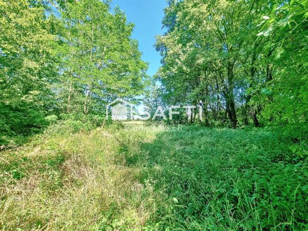 Terrain agricole 2 593m²