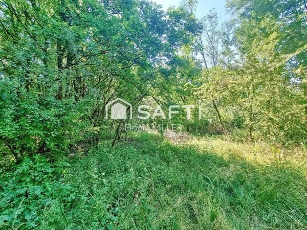 Terrain agricole 2 593m²