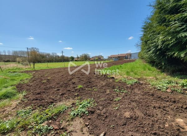 Terrain constructible