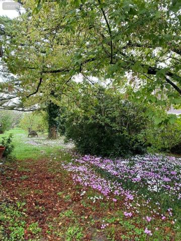 Maison à vendre à Châtillon-sur-Indre dans l'Indre (36700), ref : 1051495