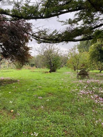 Maison à vendre à Châtillon-sur-Indre dans l'Indre (36700), ref : 1051495