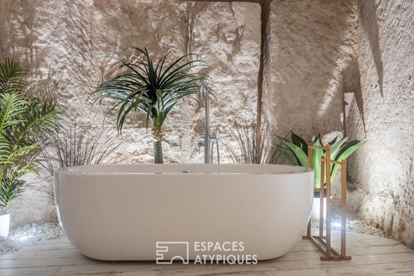 Maison semi-troglodyte entre vignes et Loire