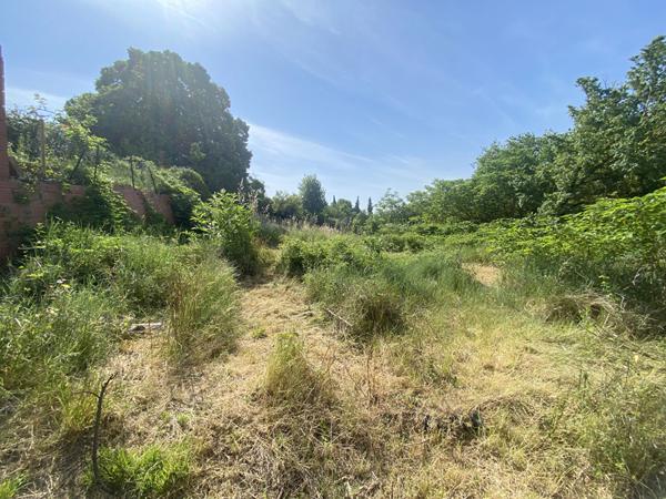 Terrain Montmaur 263 m2