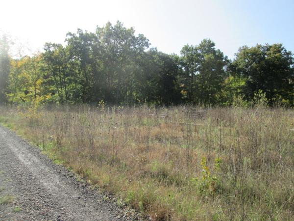 Terrain plat et viabilisé, proche Limoux