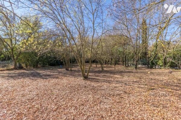 Villa d'architecte moderne avec piscine, une superbe vue arborée et un grand terrain à Juvignac