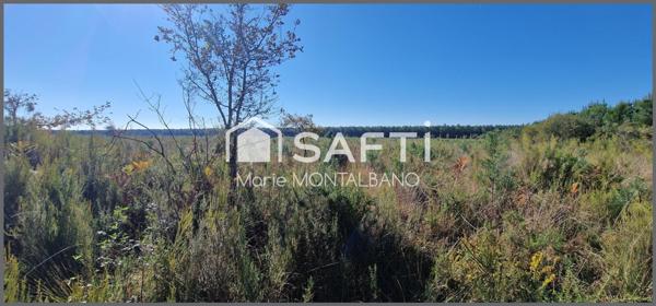 Terrain forestier de 1,6h à Sanguinet