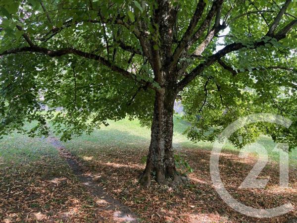 Maison à vendre  5 pièces - 175 m2 LOISIN - 74