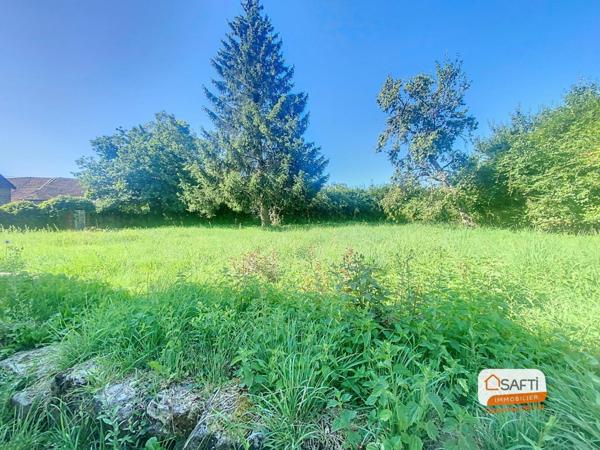 Maison ancienne en pierre à rénover