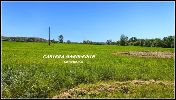 Propriete à BARRAN (GERS) AVEC MAISON GASCONNE EN PIERRES- 160 m² hab- sur 2,6 hectares + dépendances +PUITS