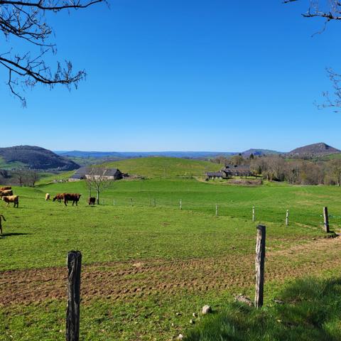 Magnifique longère à rénover Valette (15400)