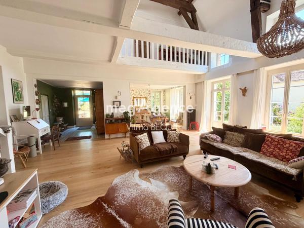 Maison à VILLENEUVE-SUR-YONNE, 89500 - 11 pièces 285m²