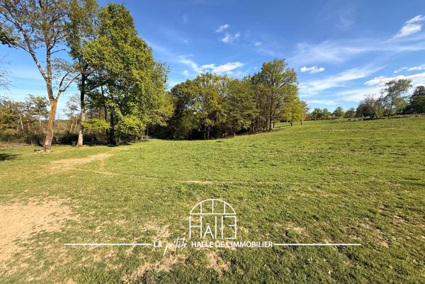 Terrain - 2321 m² Exclusivité