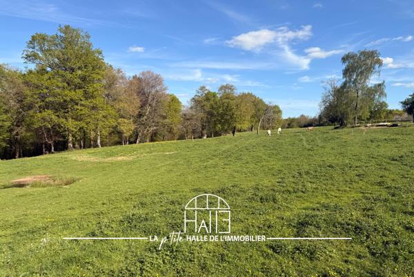 Terrain - 2321 m² Exclusivité