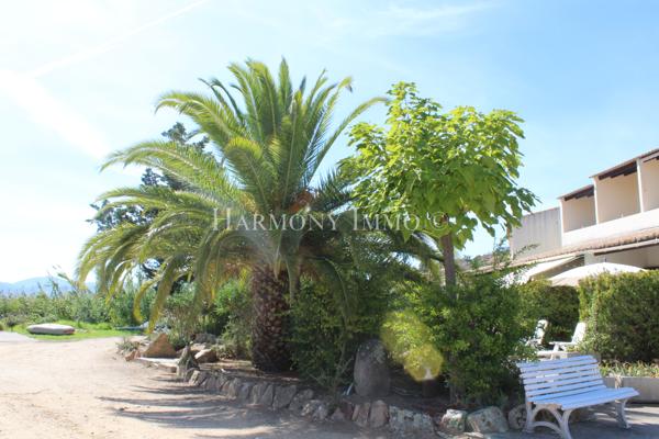 Sagone - Duplex 40m² Pieds dans l'Eau - Plage à 20m - Terrasse & Jardin