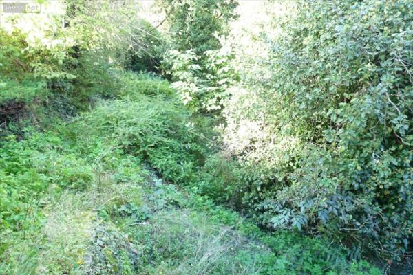 Maison à vendre à Ambrières-les-Vallées en Mayenne (53300), ref : 53075DLS24034