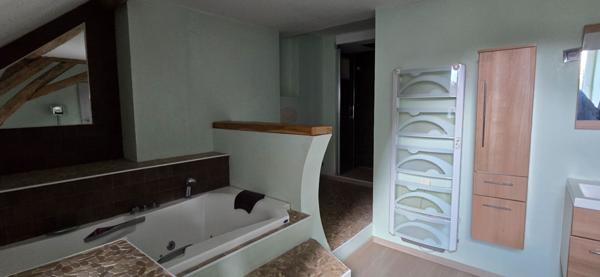 Maison Villeneuve L Archeveque 10 pièce(s) 240 m2