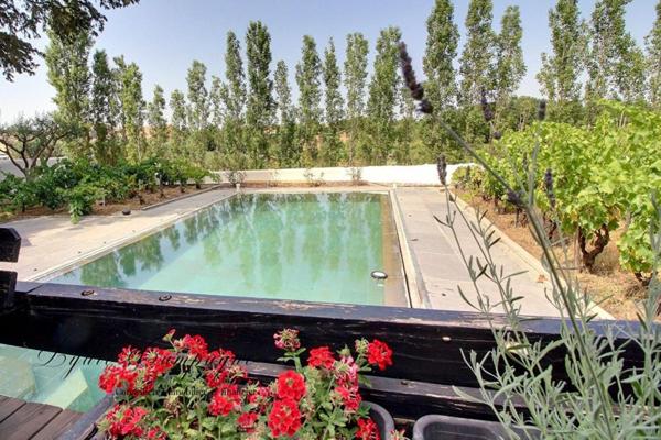 Demeure de prestige du XVIII, Saint André De Roquelongue 11 pièce(s) 305 m2