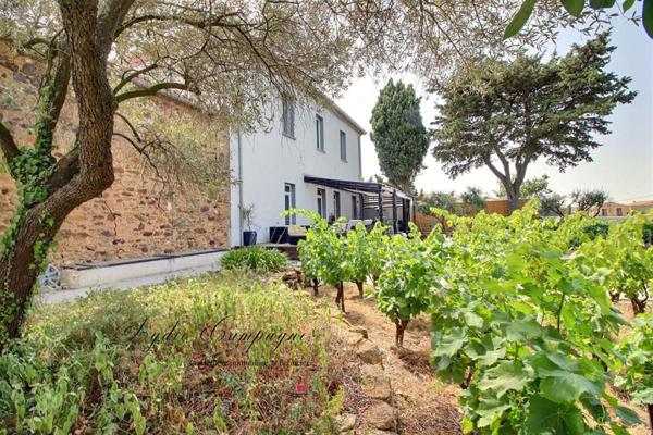 Demeure de prestige du XVIII, Saint André De Roquelongue 11 pièce(s) 305 m2