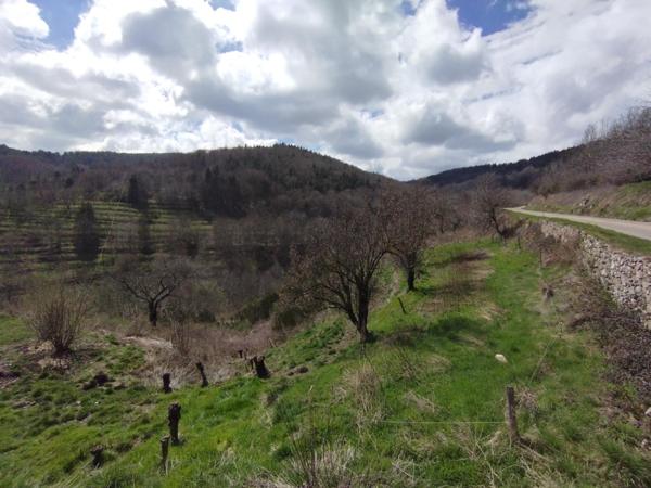 Maison 63 m2, source, 7 hectares (jardin, bois, landes)