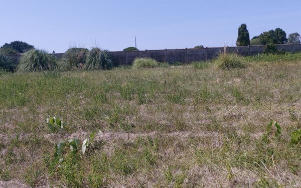 Terrain à vendre    Bourcefranc-le-Chapus