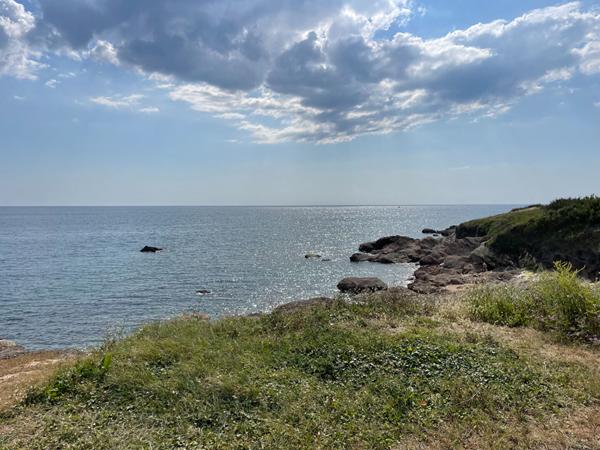 Terrain au calme Bretignolles Sur Mer
