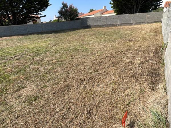Terrain au calme Bretignolles Sur Mer