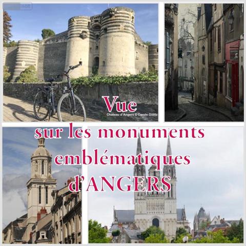 Appartement à vendre à Angers dans le Maine-et-Loire (49100), ref : 49014-1789 La Doutre