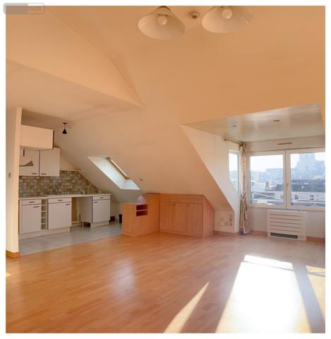 Appartement à vendre à Angers dans le Maine-et-Loire (49100), ref : 49014-1789 La Doutre