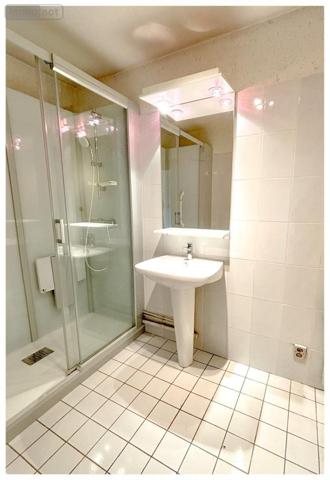 Appartement à vendre à Angers dans le Maine-et-Loire (49100), ref : 49014-1789 La Doutre