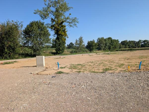 Vente / Terrain à Savigneux (01480)