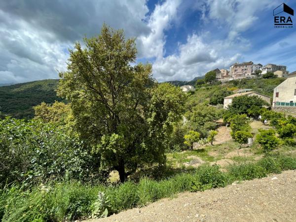 CASTELLARE DI CASINCA : maison 5 pièces en location