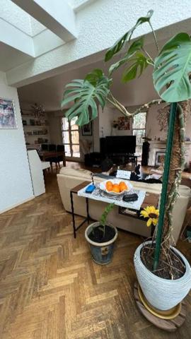Villa 7 pièce(s) 6 chambre(s) 187 m²