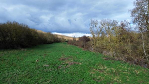 Dpt Deux Sèvres (79), à vendre LOUIN terrain 5557 m²