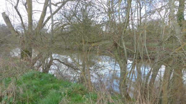 Dpt Deux Sèvres (79), à vendre LOUIN terrain 5557 m²