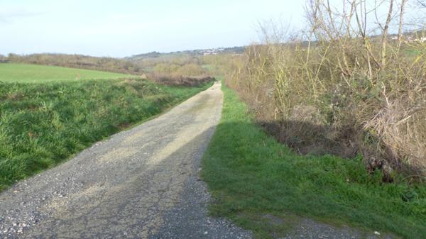 Dpt Deux Sèvres (79), à vendre LOUIN terrain 5557 m²