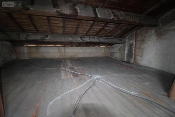 Immeuble à vendre à Saintes en Charente-Maritime (17100), ref : 17111-649