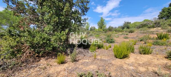 Terrains Saint Andre De Roquelongue