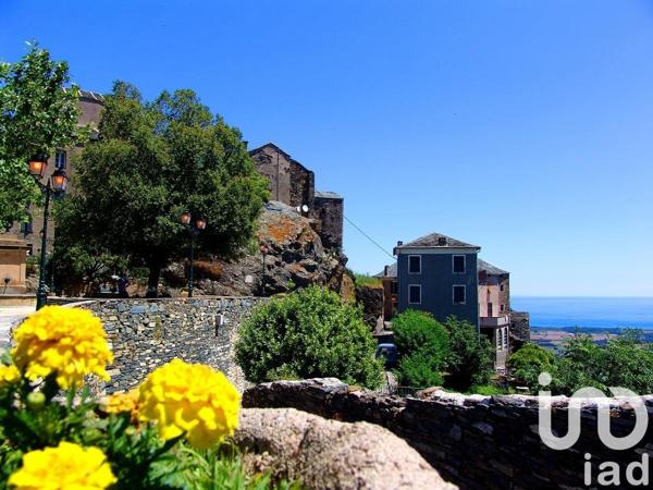 Maison à vendre 4 pièces 86 m² Penta-di-Casinca