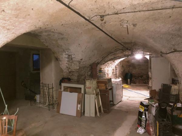 Vans (07140) 48;000 € de revenus locatifs annuels. Les Vans 6 km. Grand mas du 16e avec 7 appartements sur 1,7 hectares de