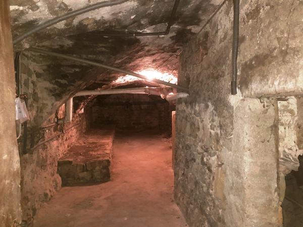 Vans (07140) 48;000 € de revenus locatifs annuels. Les Vans 6 km. Grand mas du 16e avec 7 appartements sur 1,7 hectares de