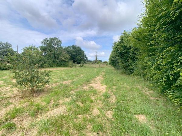 Joli terrain viabilisé avec vue dégagée sur les collines