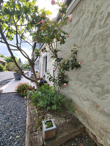 15 min de Carentan et d'Isigny sur Mer, belle propriété avec maison de 200 m² hab et 3.54 ha de terrain