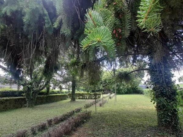 Maison à vendre |  Pellevoisin |  6 pièces | 125 m²