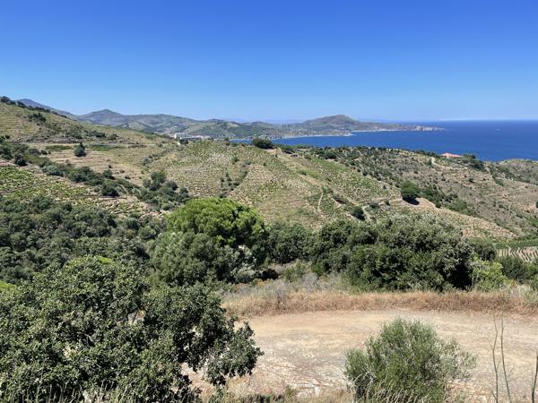 Appartement à vendre à Cerbère (66290) - Pyrénées-Orientales