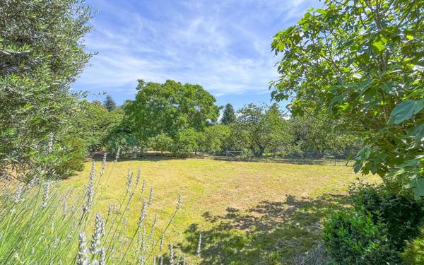 Maison à vendre    9 pièces •  Berre-les-Alpes