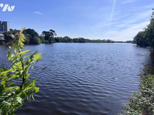 A VENDRE A NOYALO - ENVIRONNEMENT EXCEPTIONNEL - MAISON en PIERRE de "1800"