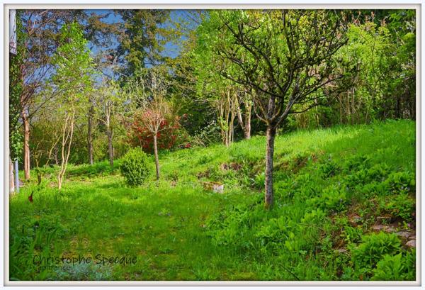 Maison à vendre en pierre de 143 m² habitable , grange, terrain CELLES SUR DUROLLE (63)