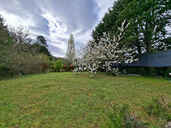 Saumur, Quartier de St-Hilaire-St Florent, maison de caractère avec piscine chauffée, 225 m²