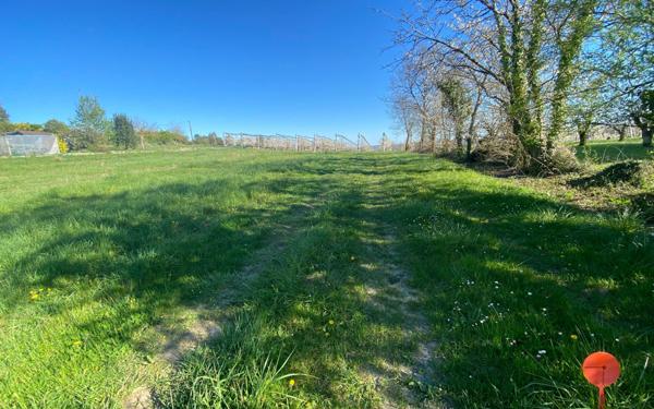 Terrain à vendre    Lamothe-Capdeville